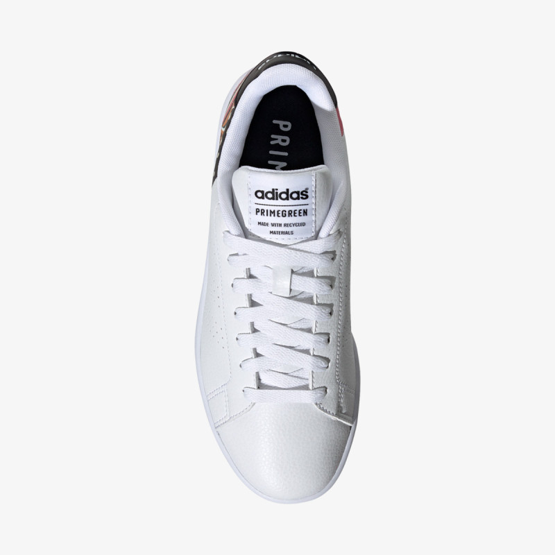 adidas ADVANTAGE 