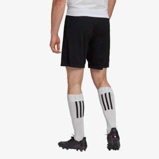 adidas Entrada 22 Shorts 