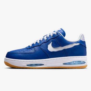 Nike AIR FORCE 1 LOW EVO 