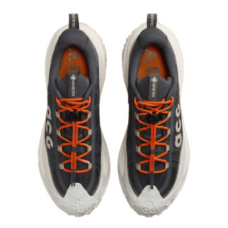 Nike ACG MOUNTAIN FLY 2 LOW GTX 