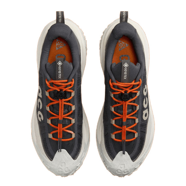 Nike ACG MOUNTAIN FLY 2 LOW GTX 