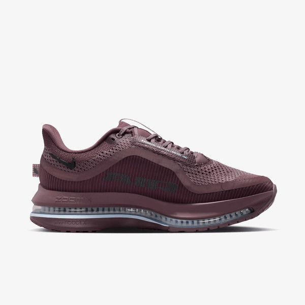 Nike Pegasus Premium 