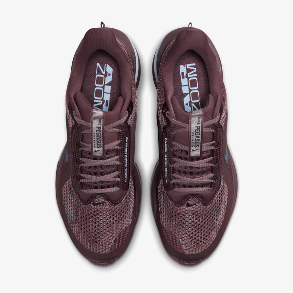 Nike Pegasus Premium 
