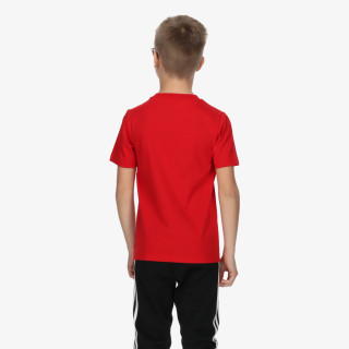 adidas Essentials Big Logo Cotton T-Shirt 