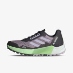 adidas Маратонки TERREX AGRAVIC FLOW 2 W 