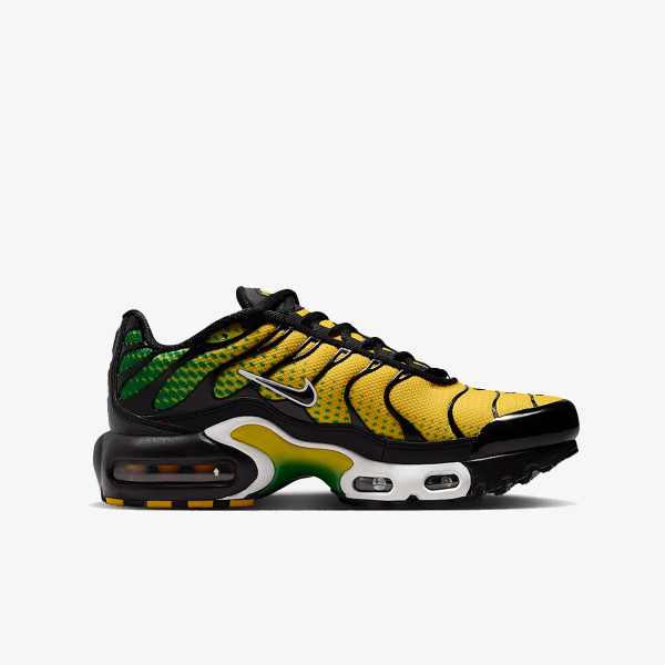 Nike NIKE AIR MAX PLUS GS BTD 