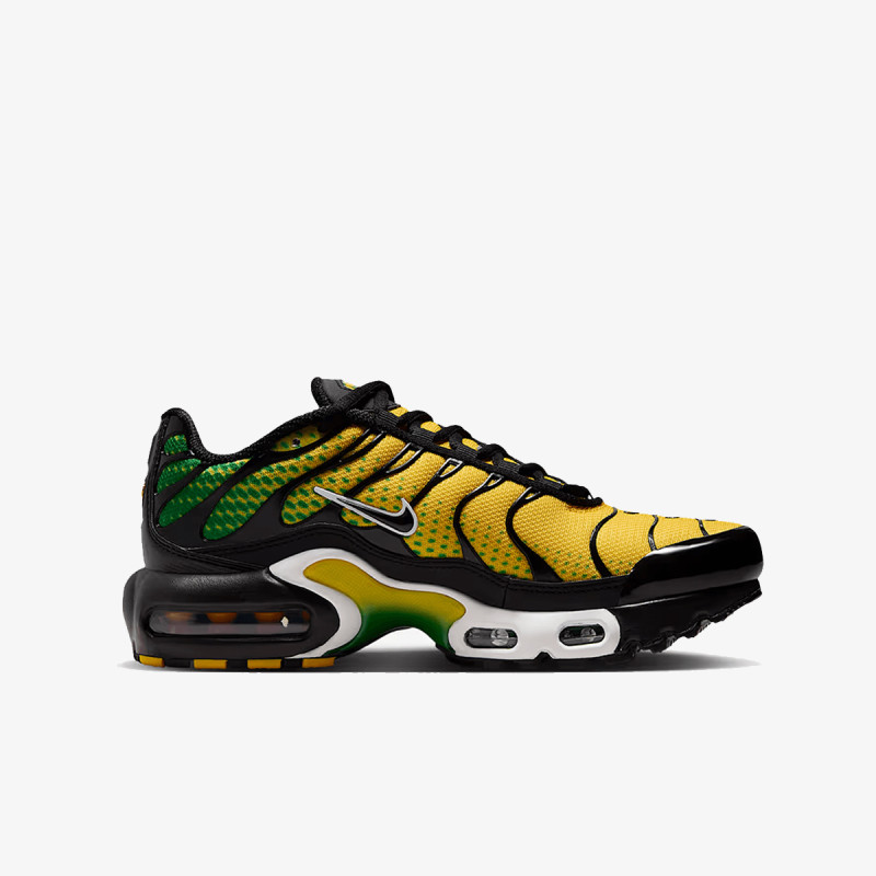 Nike NIKE AIR MAX PLUS GS BTD 