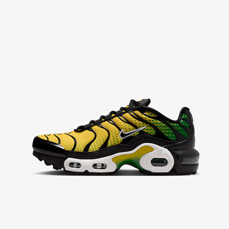 Nike NIKE AIR MAX PLUS GS BTD 