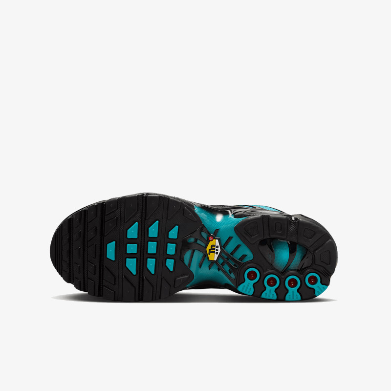 Nike NIKE AIR MAX PLUS GS ITD 