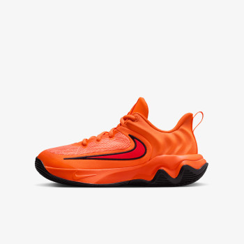 Nike GIANNIS IMMORTALITY 4 GS 