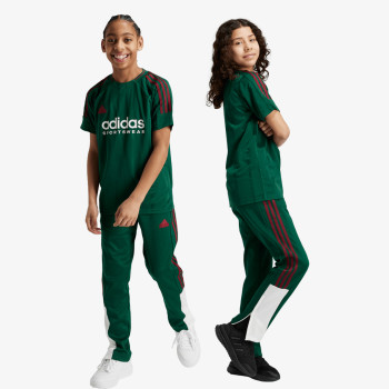 adidas J NP TIRO PANT 