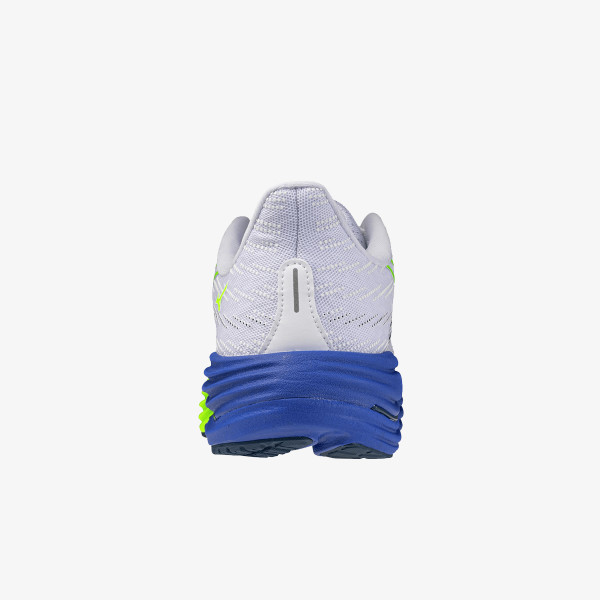 Mizuno WAVE RIDER 29 