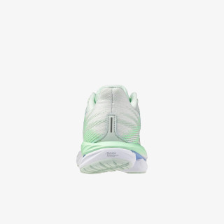 Mizuno WAVE INSPIRE 21 