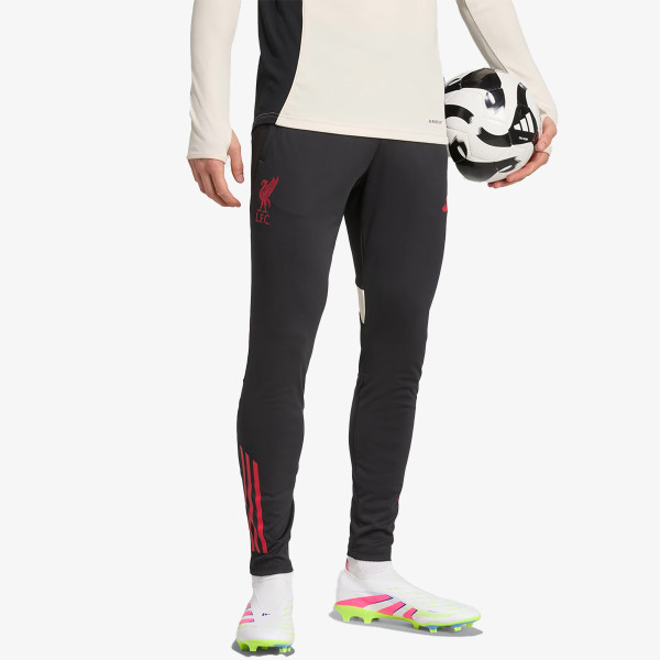 adidas LFC TR PNT 
