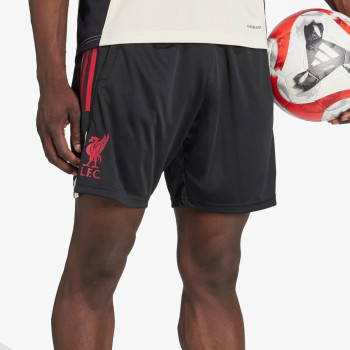 adidas LFC TR SHO 