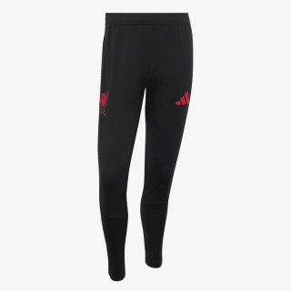 adidas LFC TR PNT 