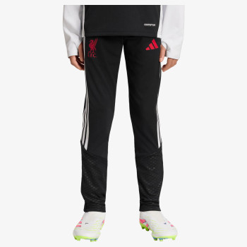 adidas LFC TR PNTY 