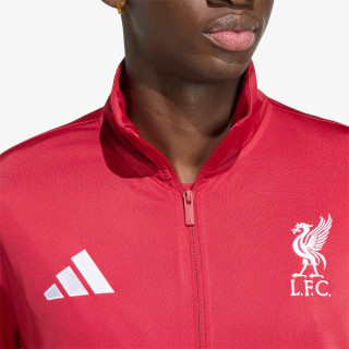 adidas LFC DNA TT 