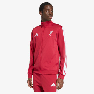 adidas LFC DNA TT 