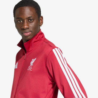 adidas LFC DNA TT 