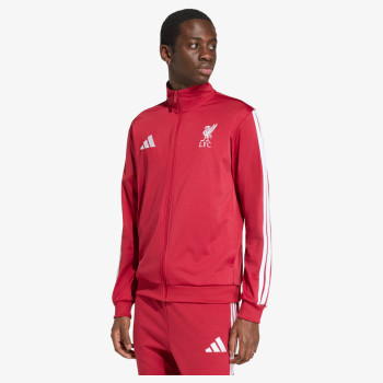 adidas LFC DNA TT 