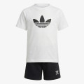 adidas Trefoil 