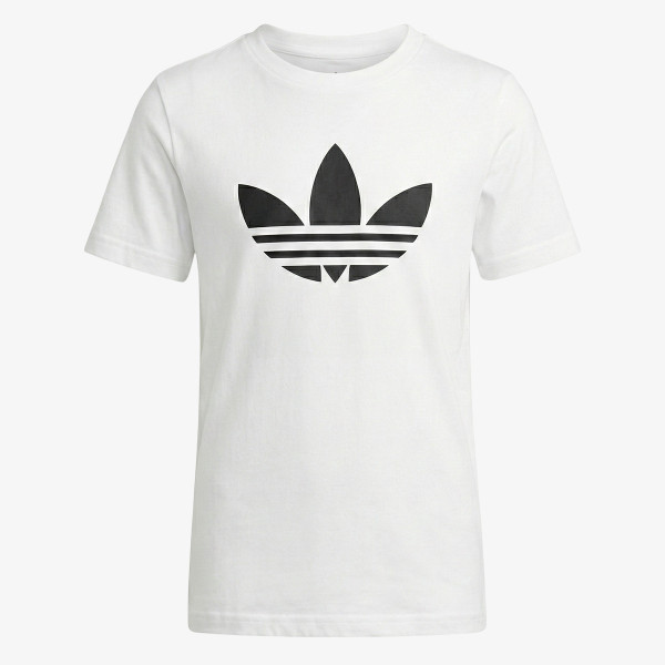 adidas Trefoil 