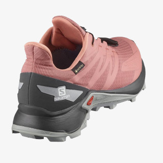 Salomon SUPERCROSS BLAST GTX W 