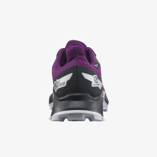 Salomon ALPHACROSS BLAST 