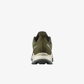 Salomon ALPHACROSS 3 GTX 