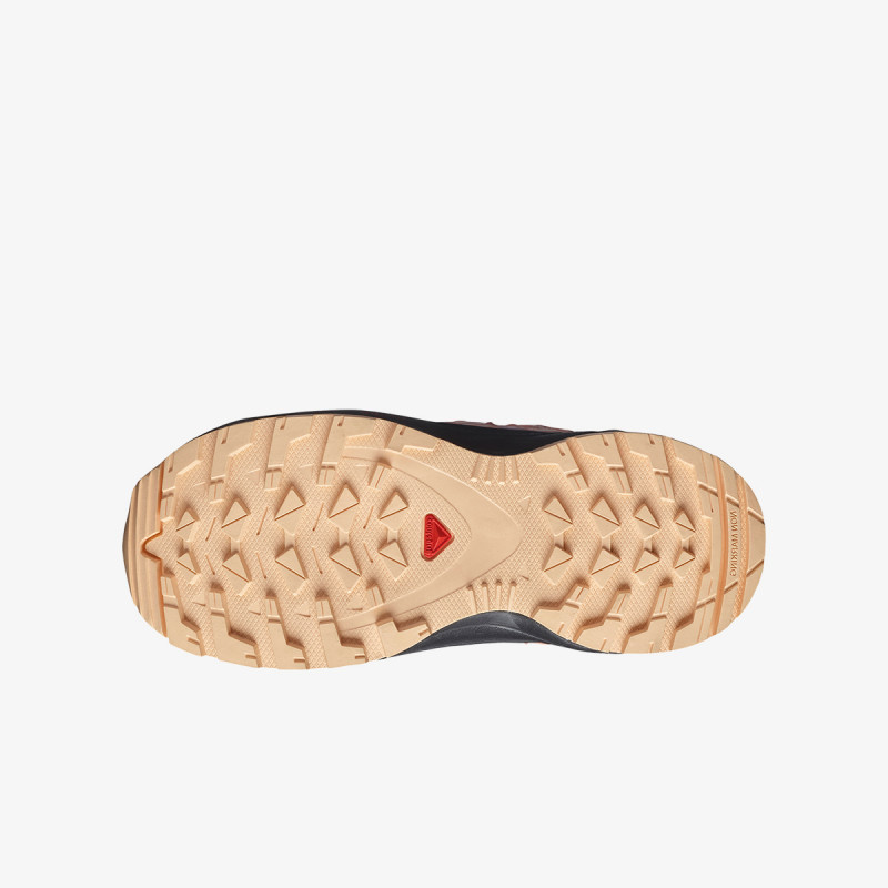 Salomon Xa Pro V8 