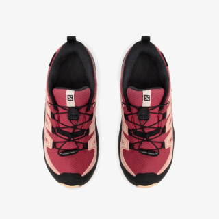 Salomon Xa Pro V8 