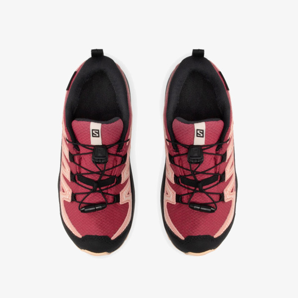 Salomon Xa Pro V8 