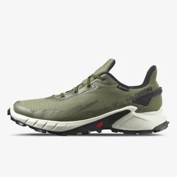 SALOMON Маратонки ALPHACROSS 4 GTX 