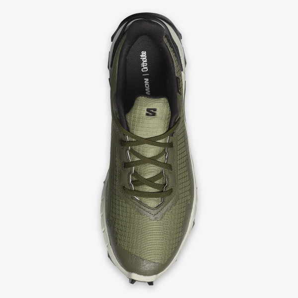 Salomon ALPHACROSS 4 GTX 