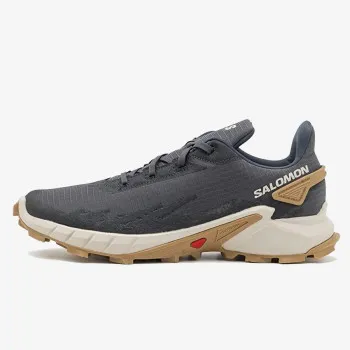 SALOMON Маратонки ALPHACROSS 4 