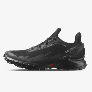 SALOMON Маратонки ALPHACROSS 4 GTX 
