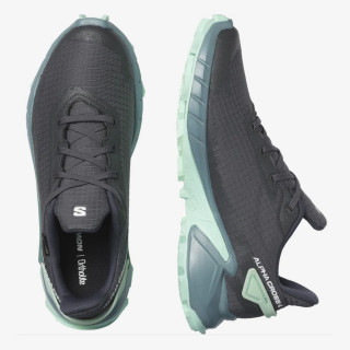 Salomon ALPHACROSS 4 GTX W 