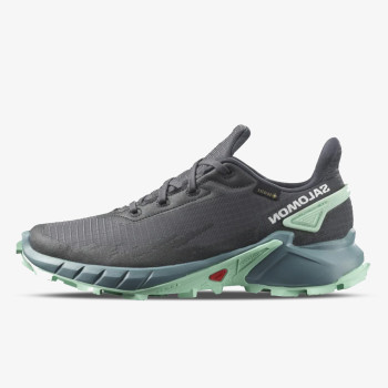 Salomon ALPHACROSS 4 GTX W 