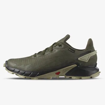 SALOMON Маратонки ALPHACROSS 4 GTX 