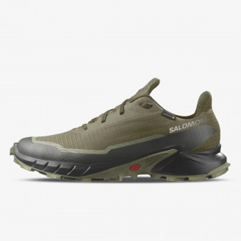 Salomon Маратонки Alphacross 5 Gtx 