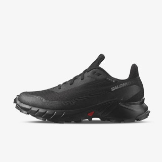 Salomon Alphacross 5 Gtx 