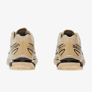 Salomon XT-6 