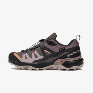 Salomon X Ultra 360 GTX 