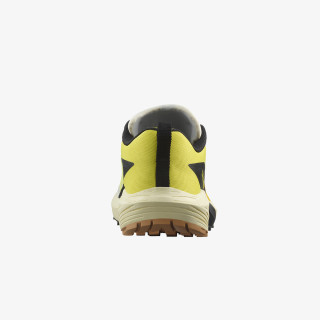 Salomon Sense Ride 5 