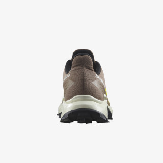 Salomon Alphacross 5 