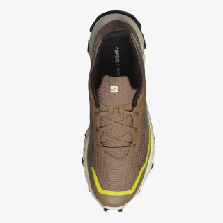 Salomon Alphacross 5 
