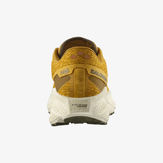 Salomon AERO GLIDE 3 GRVL 