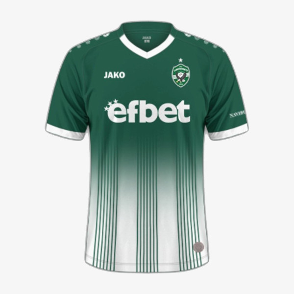LUDOGORETS PFC LUDOGORETS H JSY 25/26 