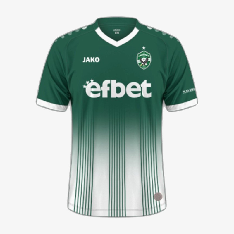 LUDOGORETS PFC LUDOGORETS H JSY 25/26 